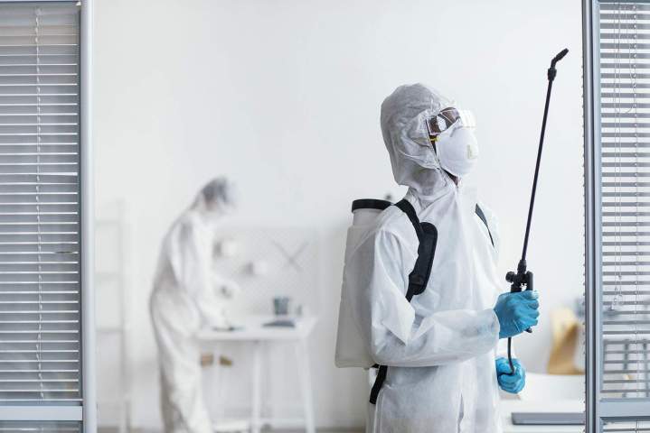 Exterminateur de nuisibles LE LAMENTIN