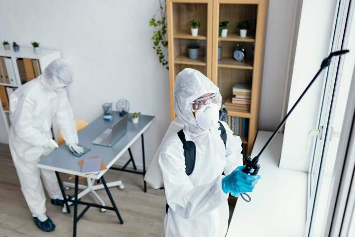 Service d'extermination des nuisibles LE LAMENTIN