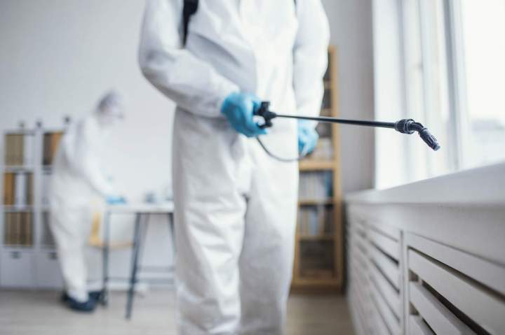Désinsectisation LE LAMENTIN